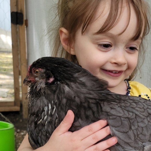 Women's/little girl clothes! - Picture 2 of 2